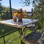 Il Rosale A Bed & Breakfast Celle Ligure