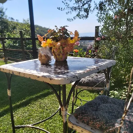 Il Rosale A Frühstückspension Celle Ligure