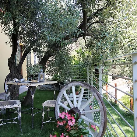 Il Rosale A Bed & Breakfast