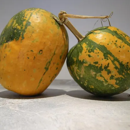 Couette-café Il Rosale A