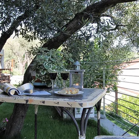 Il Rosale A Couette-café Celle Ligure