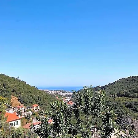 Il Rosale A