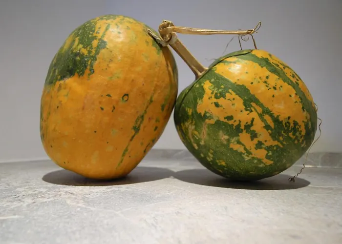 Bed and breakfast Il Rosale A